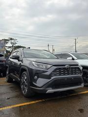 Toyota RAV4 Limited AWD 2020 Gray for sale