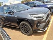 New Toyota RAV4 XLE Premium AWD 2024 Gray for sale