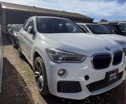 BMW X1 2018 White for sale