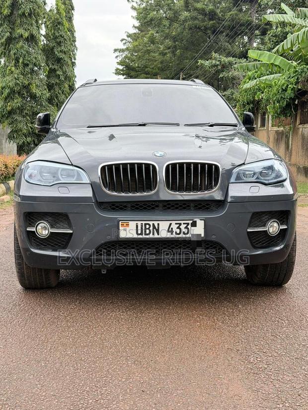 BMW X6 2010 Gray