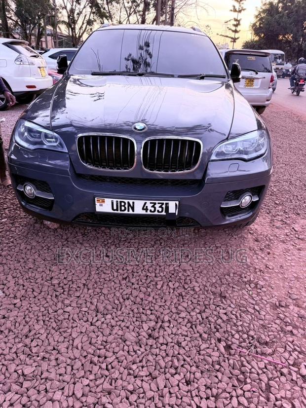 BMW X6 2010 Gray