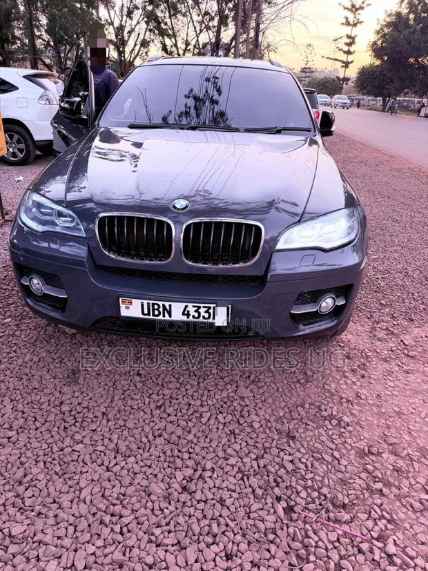 BMW X6 2010 Gray