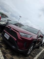 Toyota RAV4 2019 Red for sale