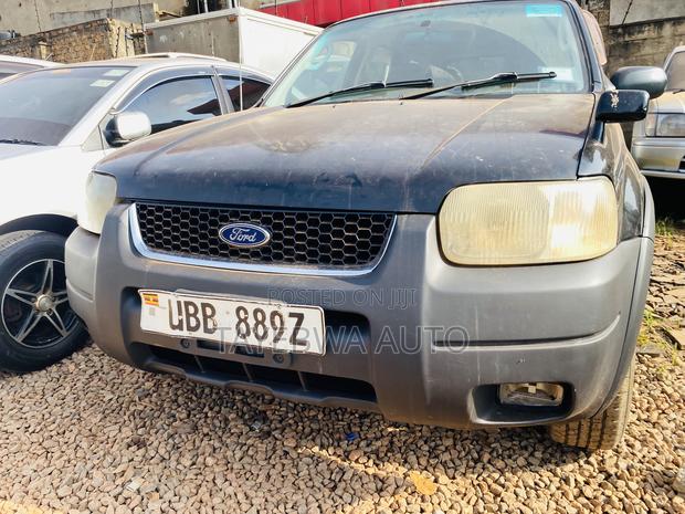 Ford Escape 2008 Gray