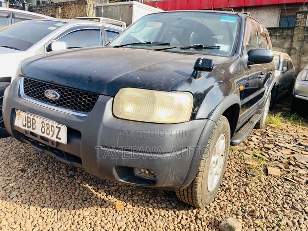 Ford Escape 2008 Gray
