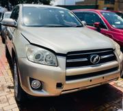 Toyota RAV4 LE AWD (2.5L 4cyl 6A) 2013 Gold for sale