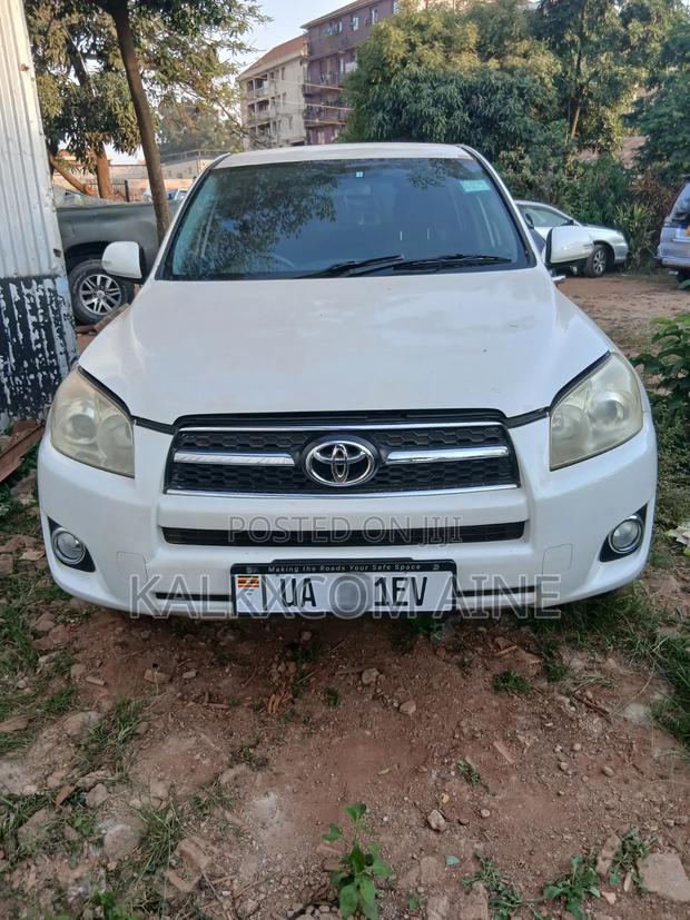 Toyota RAV4 2009 White