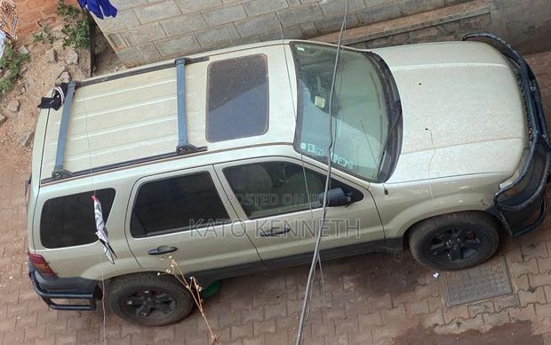 Ford Escape Hybrid 2007 Gold