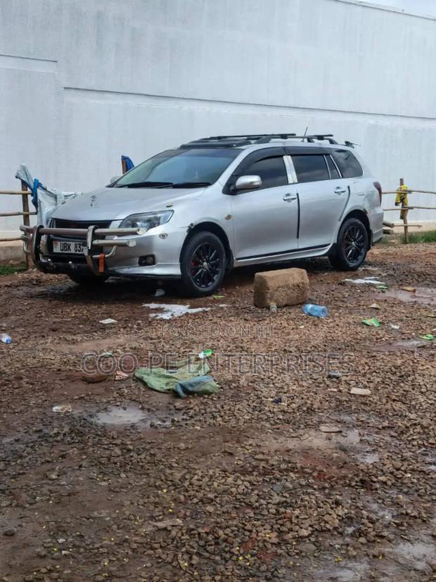Toyota Corolla Fielder 2009 Silver