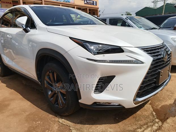 Lexus NX 2023 White