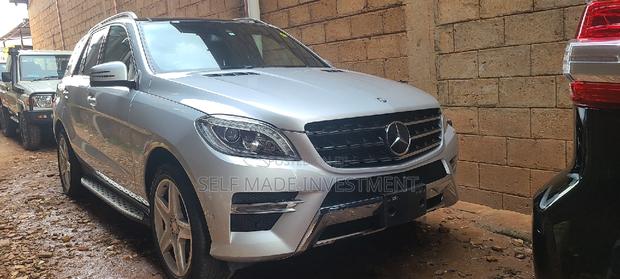 Mercedes-Benz M Class 2015 Silver