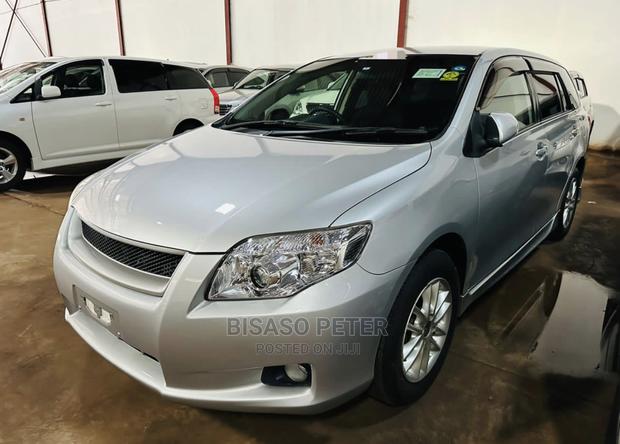 Toyota Corolla Fielder 2009 Silver