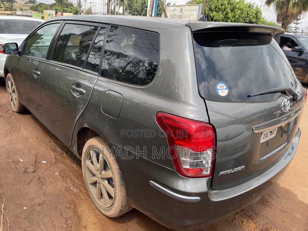 Toyota Corolla Fielder 2010 Gray