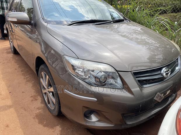 Toyota Corolla Fielder 2010 Gray