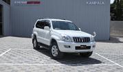 Toyota Land Cruiser Prado 2009 Pearl for sale