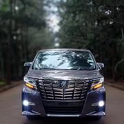 Toyota Alphard 2.5 Petrol FWD 2016 Gray for sale