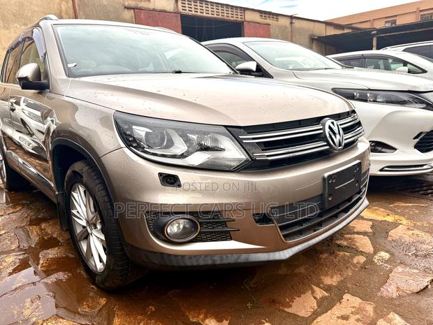 Volkswagen Tiguan 2014 Brown
