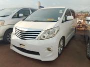 Toyota Alphard 2012 Pearl for sale