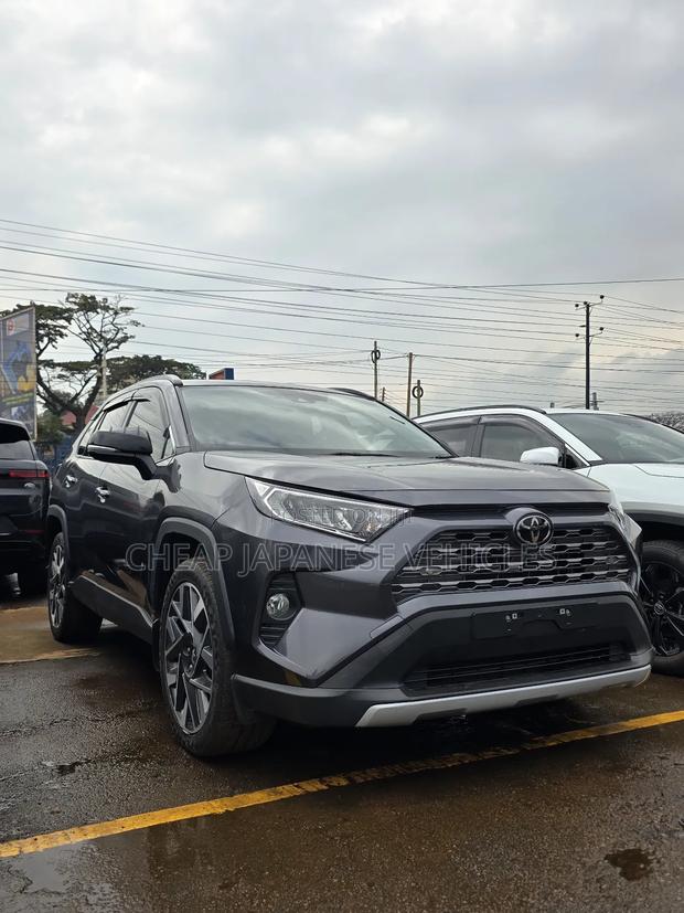 Toyota RAV4 Limited AWD 2020 Gray