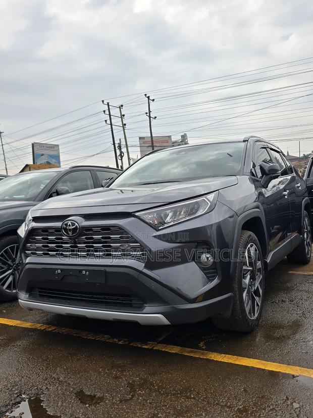 Toyota RAV4 Limited AWD 2020 Gray
