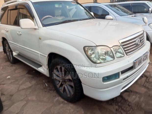 Toyota Land Cruiser 2013 White