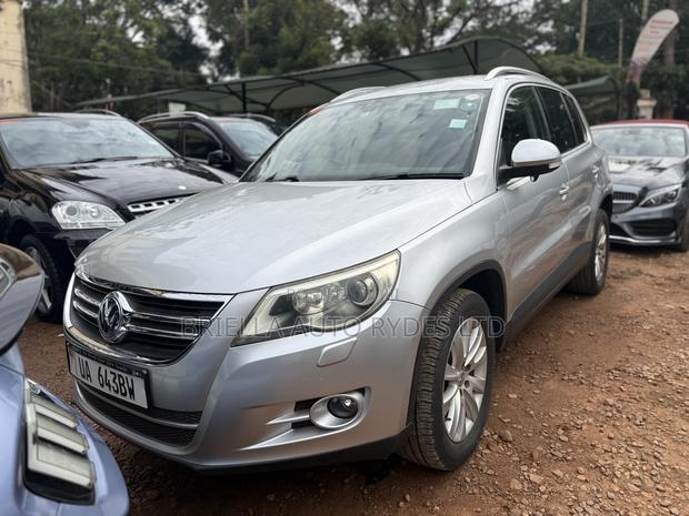 Volkswagen Tiguan 2010 Silver