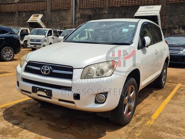 Toyota RAV4 2011 White