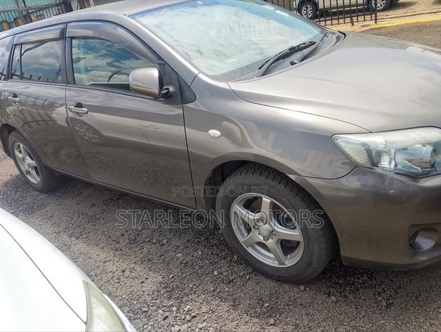 Toyota Corolla Fielder 2010 Gray