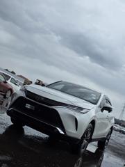 Toyota Harrier 2.0 2020 Pearl for sale
