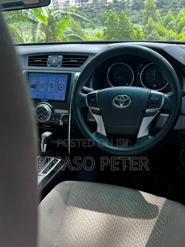 Toyota Mark X 2.5 AWD 2010 Gray