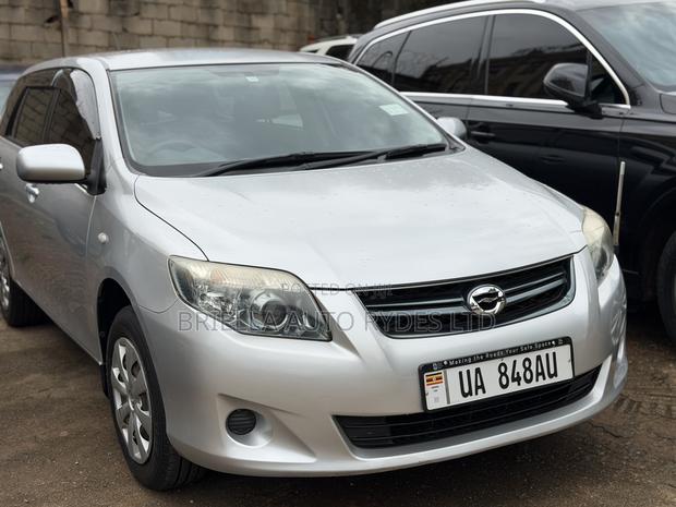Toyota Corolla Fielder 2010 Silver