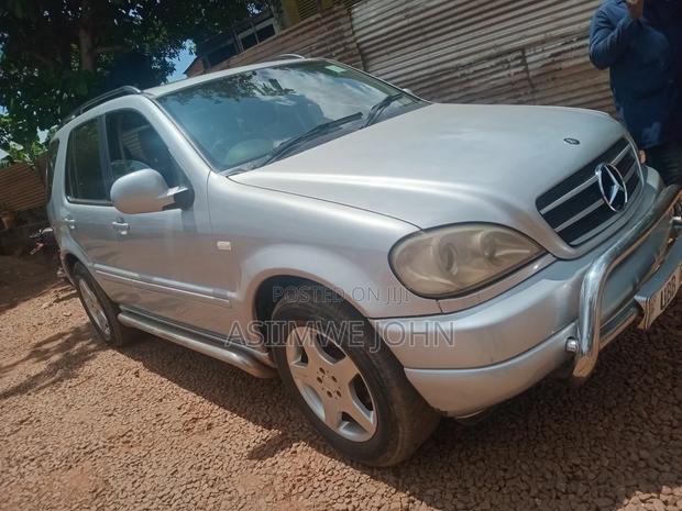 Mercedes-Benz M Class 2004 Silver