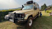 Toyota Land Cruiser 70 1993 Beige for sale