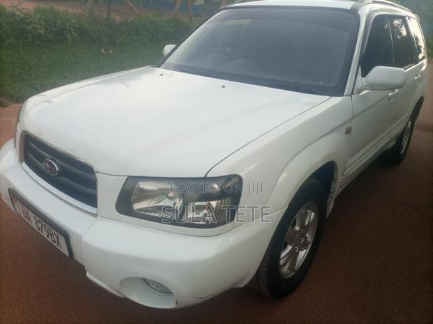 Subaru Forester Automatic 2004 White
