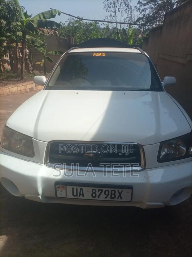 Subaru Forester Automatic 2004 White