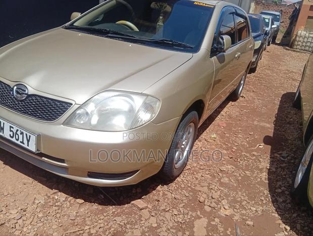 Toyota Allex 2006 Gold