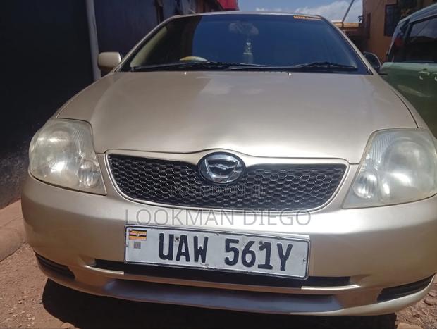 Toyota Allex 2006 Gold