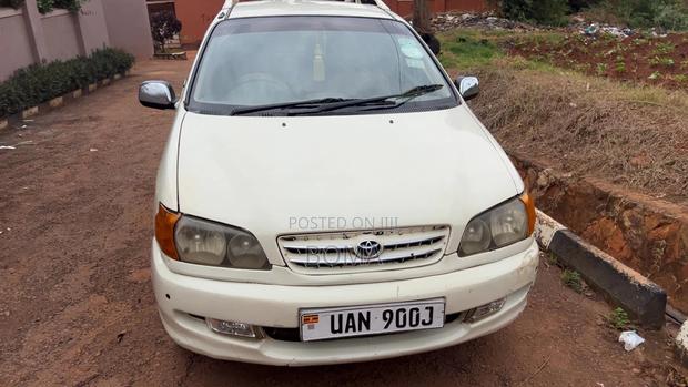 Toyota Ipsum 2000 White