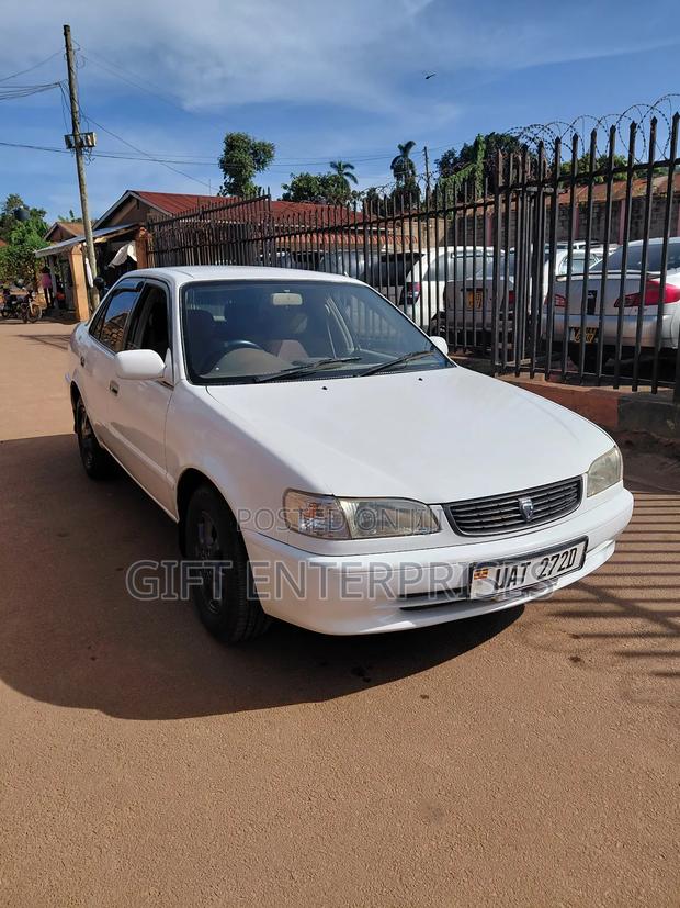 Toyota Corolla Sedan 2001 White