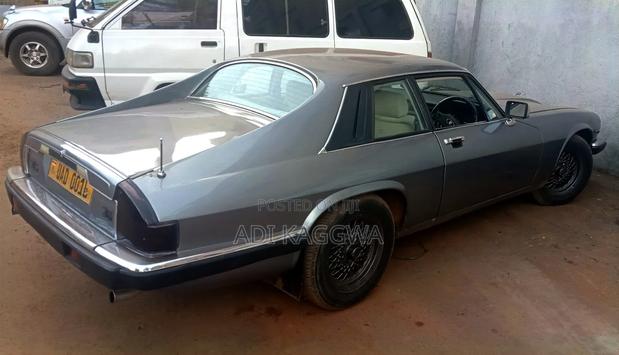 Jaguar XJ 1996 Gray