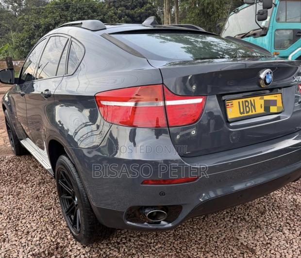 BMW X6 2010 Gray