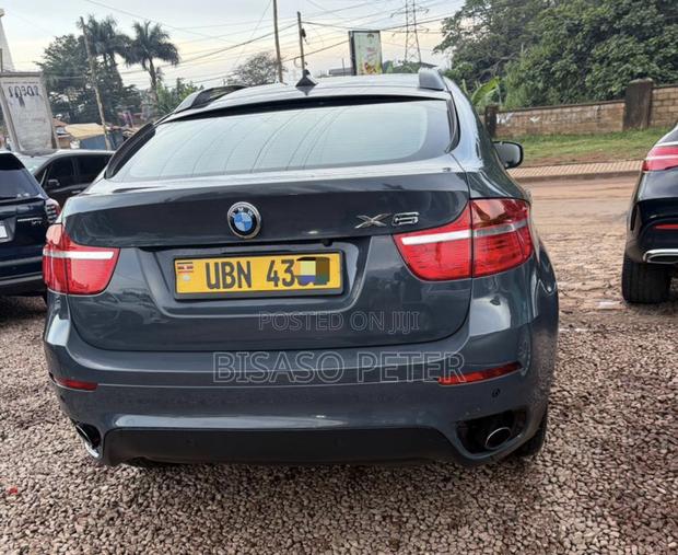 BMW X6 2010 Gray