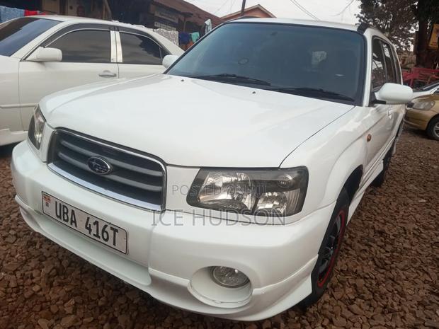 Subaru Forester 2004 White