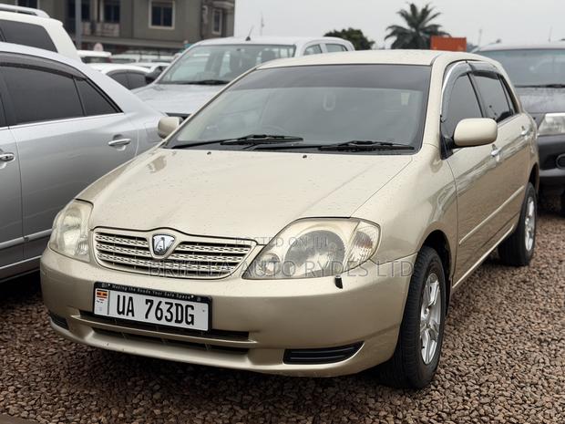 Toyota Allex 2005 Gold