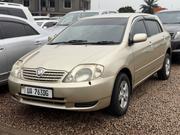 Toyota Allex 2005 Gold for sale
