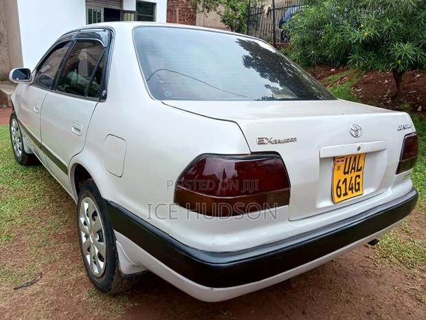 Toyota Corolla 2003 White