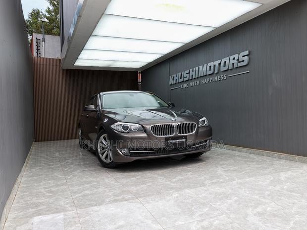 BMW 5 Series 2013 Brown