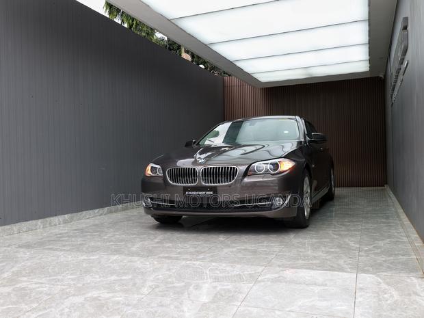 BMW 5 Series 2013 Brown