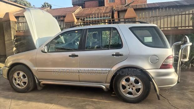 Mercedes-Benz M Class 2002 Silver