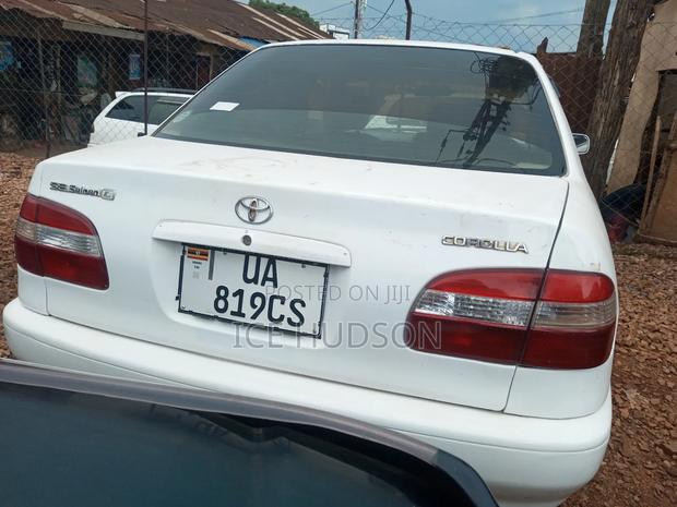 Toyota Corolla 2003 White